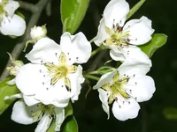 cvcvcv.webp cvcvcv.webp