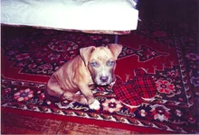 8.webp