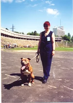 15.webp