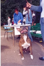 13.webp
