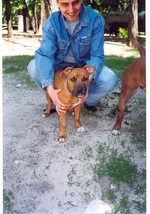 14.webp