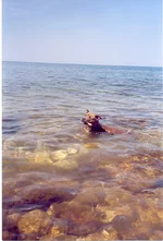 22.webp