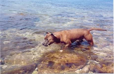 23.webp