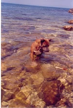 25.webp
