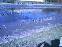 DSC00124.webp