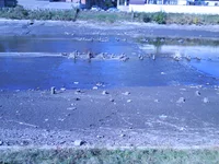 DSC00125.webp