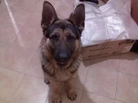 DSC00068.webp