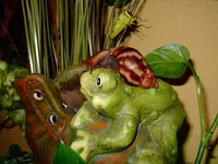 DSCF2859.jpg