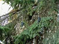 rPICT3317.webp