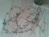 2014-04-05 14.13.17.webp