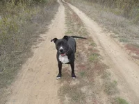 SAM_2193.webp