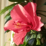P4055184.webp