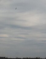 20140407_151822[1].jpg