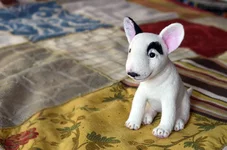 dog-25-5.webp
