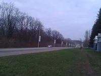 WP_001585.webp