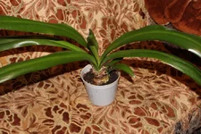 IMG_2904.webp