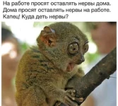 getImage!!!.webp