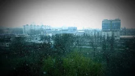 .webp