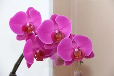10.webp