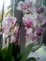 IMG_20140413_152020.webp