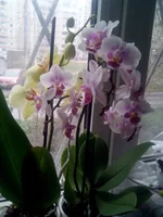IMG_20140413_151922.webp