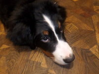 SAM_0052.jpg