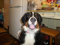 SAM_0130.jpg