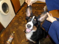 SAM_0123.jpg