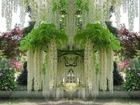 getImage (2).webp
