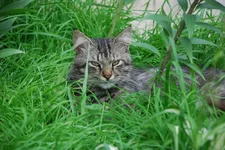 DSC_1480.webp
