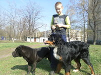 SAM_0378.jpg