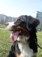 SAM_0384.jpg