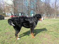 SAM_0376.jpg