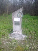 0491[1].webp