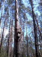 -0013.webp