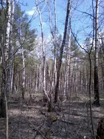 -0016.webp