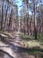 -0022.webp