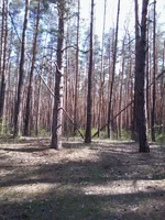 -0026.webp