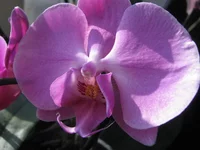 IMG_1840.webp