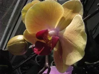 IMG_1854.webp