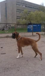 IMAG0780.webp