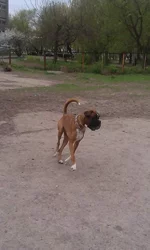 IMAG0778.webp