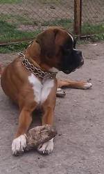 IMAG0763.webp