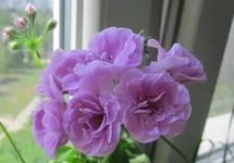 rJKJ8_-JI7w.webp