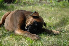  009.webp