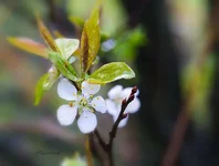 FOTO6848.webp