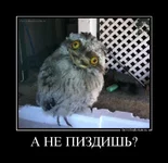 1212112154276394.webp