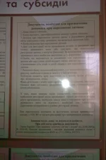 IMAG0517.webp
