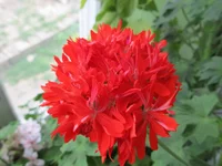 crop_79254385_SD08o.webp