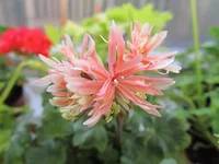 crop_78564206_eg6Wt.webp